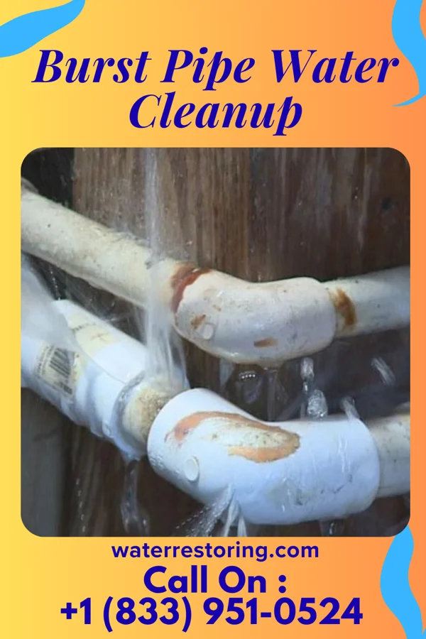Burst Pipe Water Cleanup in Biehle, MO