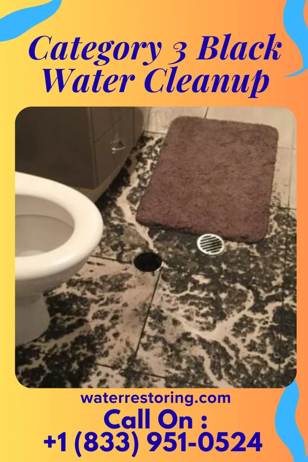 Category 3 Black Water Cleanup in Biehle, MO