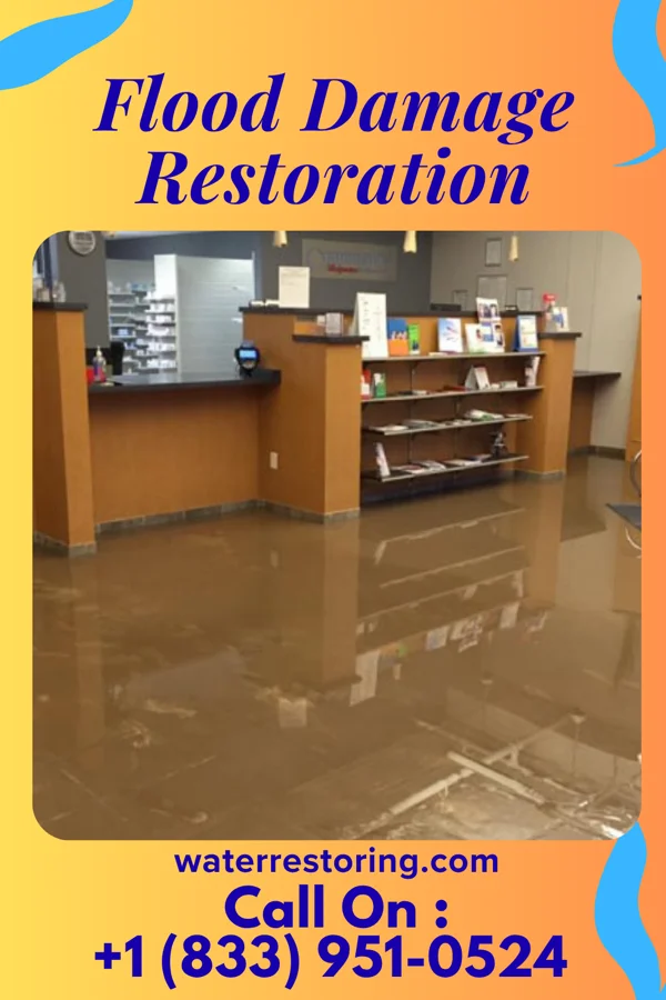 Flood Damage Restoration in Biehle, MO