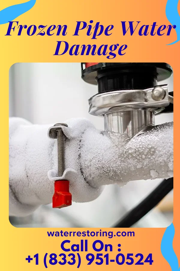 Frozen Pipe Water Damage in Biehle, MO