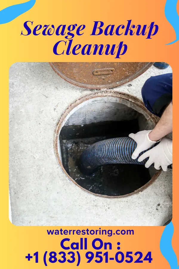 Sewage Backup Cleanup in Biehle, MO
