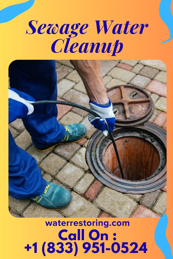 Sewage Water Cleanup in Biehle, MO